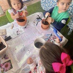 Little Tree House Family Day Care