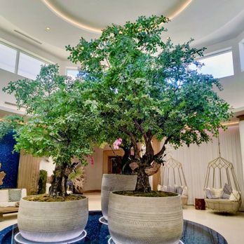Opal Grand Resort & Spa - Hotels Near Me - Delray Beach, Florida