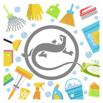 Geckona Clean World - Home Cleaning Near Me Geckona Clean World - Home Cleaning Near Me