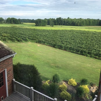 Warner-Concord Farms - The view from our room - Bed & Breakfast Near Me - Madison, Ohio Warner-Concord Farms - The view from our room - Bed & Breakfast Near Me - Madison, Ohio