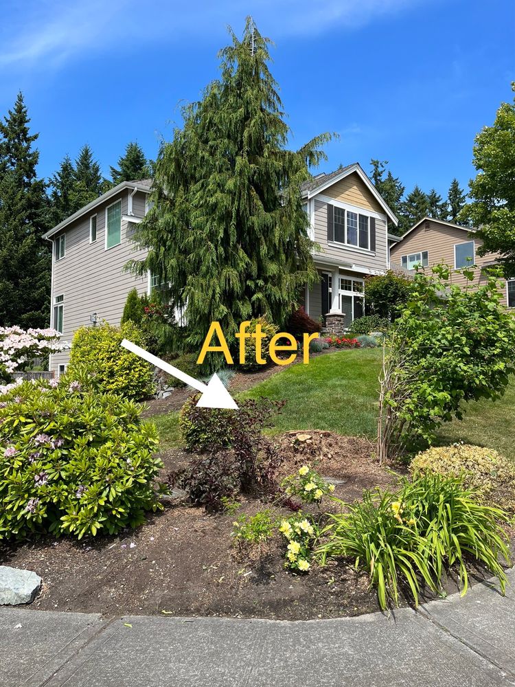Axia Tree Service - tree service in Wauna, WA