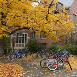 College Search & LD Specialist