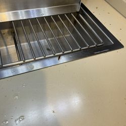 Roaches in the soda fountain