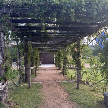 In Contrada Vineyard and Kitchen - Beautiful outdoor setting - Wine Tasting Room Near Me - San Antonio, Texas