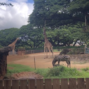Honolulu Zoo - Zoos Near Me - Honolulu, Hawaii