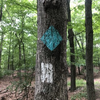 Adventure Untamed - Trail markers in Black Rock Forest in New York State. - Tours Near Me - New York, New York