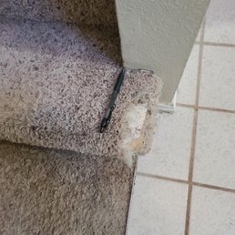 Dog chewed corner of the staircase