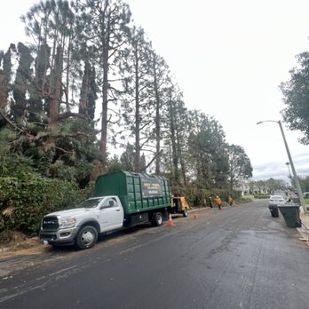 Poly Timber Tree Service - Tree Services Near Me - Pico Rivera, California