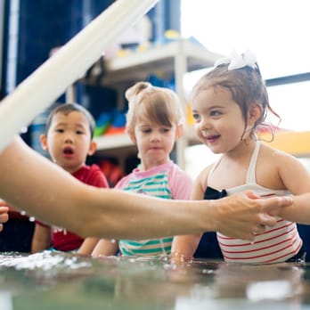 Emler Swim School of Austin - Anderson Mill - Swimming Lessons/Schools Near Me - Austin, Texas Emler Swim School of Austin - Anderson Mill - Swimming Lessons/Schools Near Me - Austin, Texas
