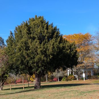 Stark Park - Gazebo area, maybe it's a place to have a nice lunch. They're also benches all around the park - Parks Near Me - Manchester, New Hampshire