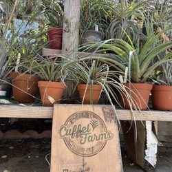 Cuffel Farms - Cuffel Farms
