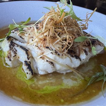 Kessaku - Miso cod - Cocktail Bars Near Me - Dallas, Texas Kessaku - Miso cod - Cocktail Bars Near Me - Dallas, Texas
