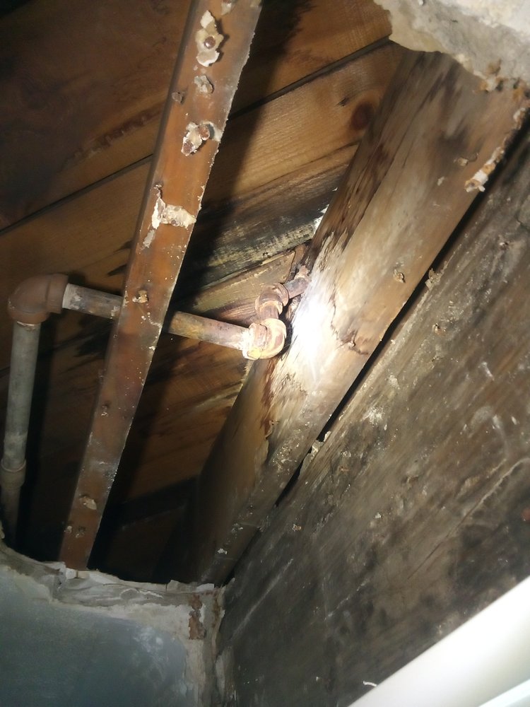 Slide of Strong's Handyman