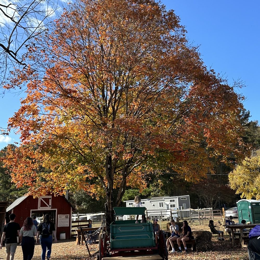 Spring Haven Farm - Its fall ya'll - Farms Near Me - Chapel Hill, North Carolina Spring Haven Farm - Its fall ya'll - Farms Near Me - Chapel Hill, North Carolina