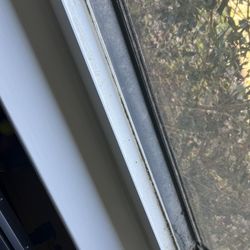 Shine of Austin The Four Points - After TWO half hearted window cleanings and power washing