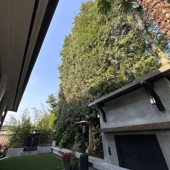 Dieguez Tree Services & Landscaping - Hedge pruning, after - Landscaping Near Me - Belfair, Washington Dieguez Tree Services & Landscaping - Hedge pruning, after - Landscaping Near Me - Belfair, Washington