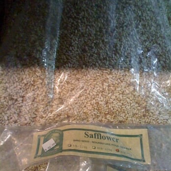 Global Pet Foods - Oh they sell bird seed alright! - Pet Stores Near Me - Toronto, Ontario Global Pet Foods - Oh they sell bird seed alright! - Pet Stores Near Me - Toronto, Ontario