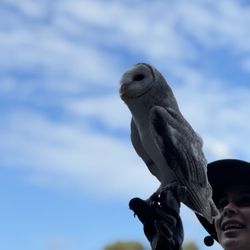 Lone Pine Koala Sanctuary