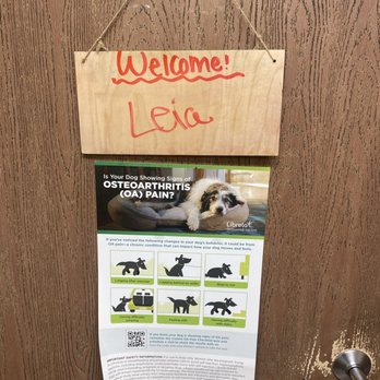 Fairgrounds Animal Hospital - Welcome sign - Veterinarians Near Me - Reno, Nevada Fairgrounds Animal Hospital - Welcome sign - Veterinarians Near Me - Reno, Nevada