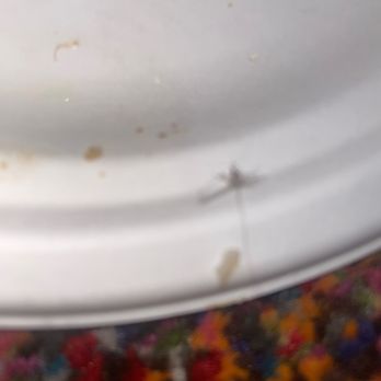 KFC - Famous Bowl - Fast Food Near Me - Antelope, California KFC - Famous Bowl - Fast Food Near Me - Antelope, California