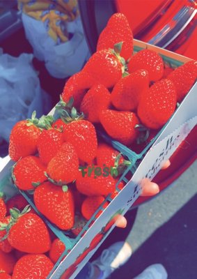 Union City Farmers' Market by null