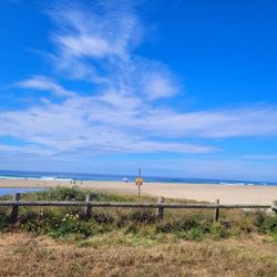 D River State Recreation Area - Love a pretty day at the beach.