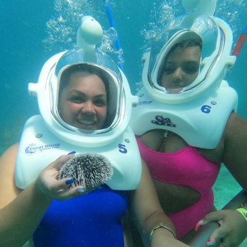 Coral World Ocean Park - My daughters under the ocean - Aquariums Near Me - St Thomas, Virgin Islands Coral World Ocean Park - My daughters under the ocean - Aquariums Near Me - St Thomas, Virgin Islands