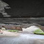 Photo of Starved Rock Marina