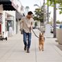 Photo of Toko Dogs