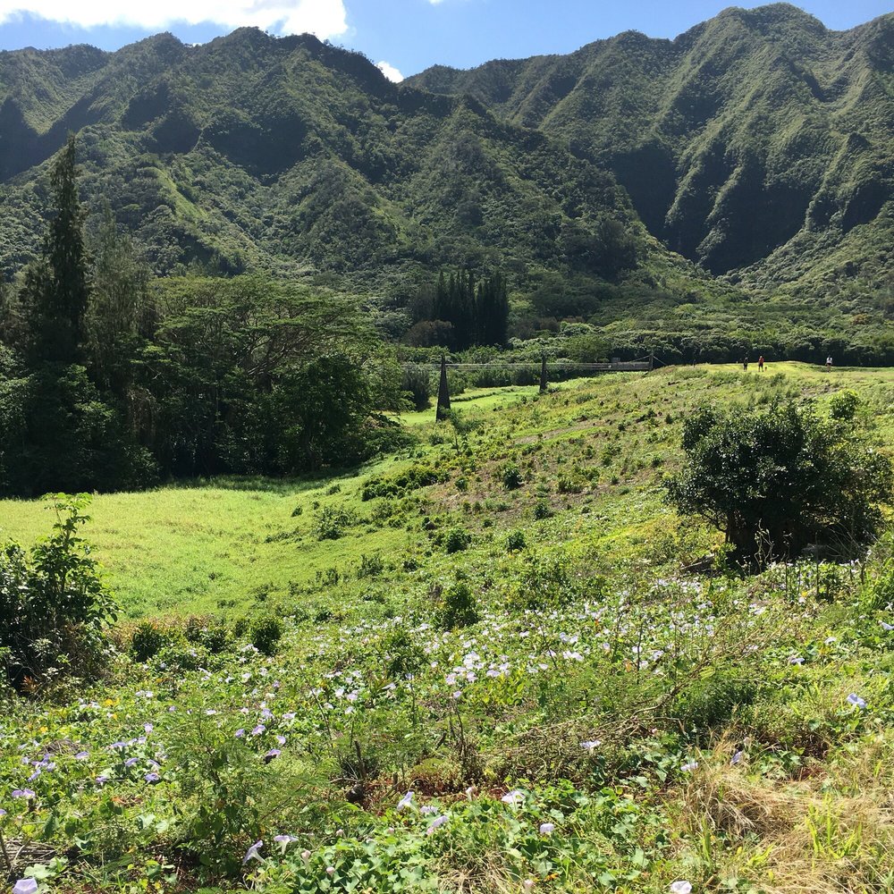 Lulumahu Falls - Scenic, beautiful, enchanting... Just a few words to describe this trail. - Hiking Near Me - Honolulu, Hawaii