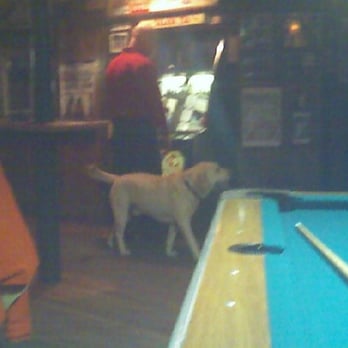 Tin 'n' Lint - dog standing in front of a pool table - American Near Me - Saratoga Springs, New York Tin 'n' Lint - dog standing in front of a pool table - American Near Me - Saratoga Springs, New York