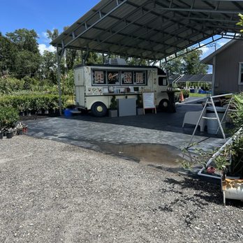 Bee Coffee - Coffee & Tea Near Me - Land O Lakes, Florida Bee Coffee - Coffee & Tea Near Me - Land O Lakes, Florida