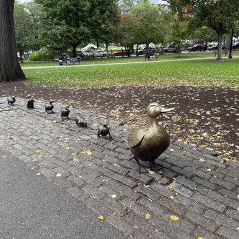 Boston Public Garden - Here they come! - Parks Near Me - Boston, Massachusetts Boston Public Garden - Here they come! - Parks Near Me - Boston, Massachusetts