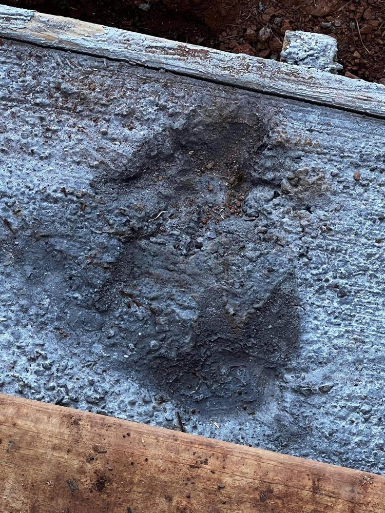 Slide of Infiniti Roofing & Remodeling