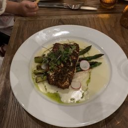 Salmon