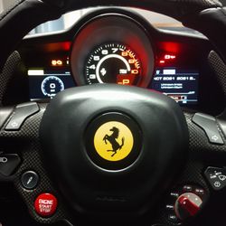 LW Exotic Rentals