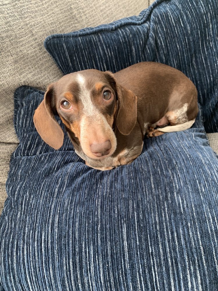 THE VETERINARY CENTER AT HUNTERS CROSSING Updated September 2024 12 Reviews 5200 NW 43rd