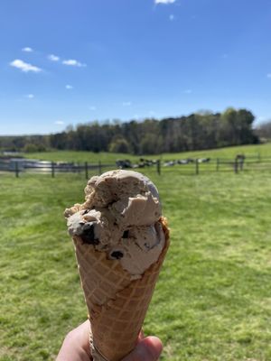 Howling Cow Dairy Education Center and Creamery by null