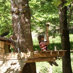 Happy Forest