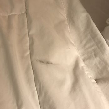 Baymont by Wyndham Mason - black stuff on sheets - Hotels Near Me - Mason, Ohio