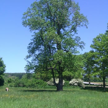 Appleton Farms - Beautiful! - Farmers Market Near Me - Ipswich, Massachusetts