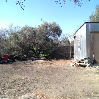 P & J Tree Services - After photo of removed Pepper Tree - Tree Services Near Me - Fairfield, California
