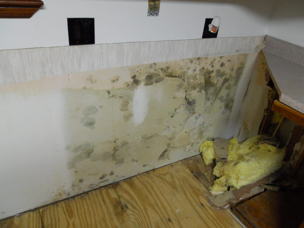 Slide of Global Restoration