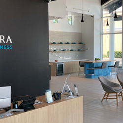 Surterra Wellness - Largo - Front Desk of Surterra Largo