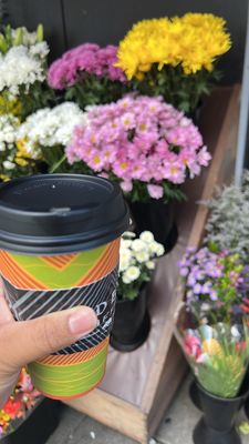 Red Bay Coffee by null