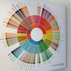 Coffee flavour wheel~
