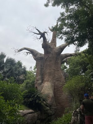 Bioparc Fuengirola by null