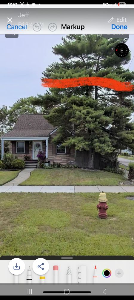 Da Treeman - tree service in Detroit, MI