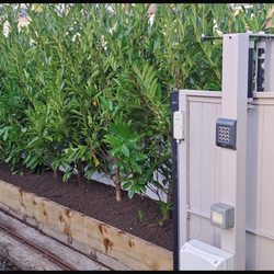 Hyland's Nursery - Hedging