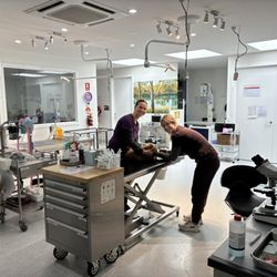 Mt Martha Veterinary Clinic - Well equipped clean working area
